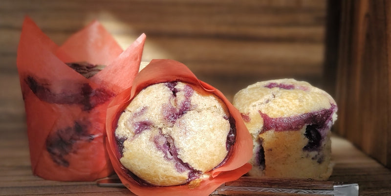 Protein Blueberry Muffins recipe