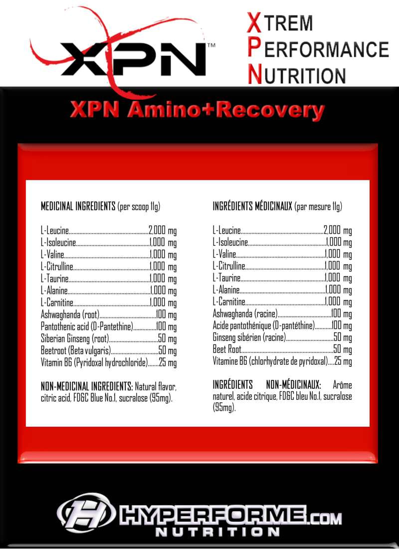 XPN Amino+Recovery - 400g - Amino Acids - Hyperforme.com